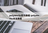 polyworks软件教程-polyworks中文教程