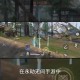 永无止境游戏攻略,永无止境游戏攻略图文大全
