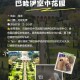 以色列别墅变废墟,历史遗址类旅游资源的价值及开发意义是什么？