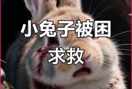 娃喂兔子被咬断手指,什么动物会把兔子的头咬掉？