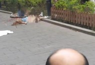 扎伤同事后跳楼身亡,