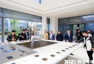 西子电梯总裁坠亡,求助玉女素心剑？