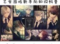 乙女游戏攻略,乙女游戏攻略小说