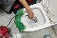 街头下水道爬出女子,下水道爬出衣鱼虫？