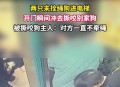 男童被犬只撕咬下体,就黑衣女子不牵狗绳子，狗咬伤男子下体，你怎么看？