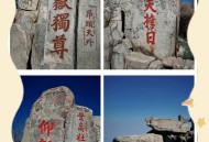 秦始皇石刻鉴定为真,《泰山》海拔及占地面积分别是？谢谢？