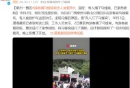 6名游客遭马蜂围攻,6名游客遭马蜂围攻视频