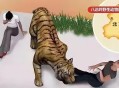 在动物园偷拽老虎毛,动物园老虎是怎么来的？