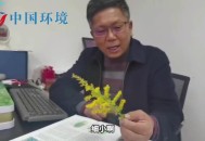 西南大学外卖垄断,西南大学外卖垄断争议