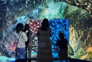 罕见太空水母云现身,太空水母怎么玩？