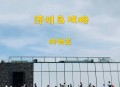 游客从40米高空坠落,如何看待中国游客济州免税店外排40米长队？