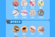 感染寄生虫仅15公斤,我们家刚买的50斤的面粉放了不到一个月发现里边生虫子了还好多，筛过之后做馒头，烙饼，包饺子，能吃吗？