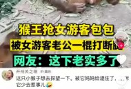 印父亲驱猴误杀儿子,见猴杀猴成就怎么做？