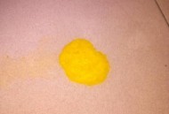 女童呕吐活虫一个月,一个月多大的狗子吐出了白色长条形的活虫是什么原因呀？