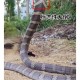 小区惊现2米滑鼠蛇,昆明闹市小区现2.5米长剧毒眼镜王蛇, 你怎么看？