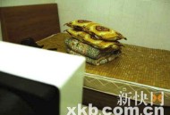 住酒店遭偷拍被威胁,住酒店遭偷拍被威胁怎么办