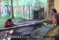 被大猩猩反向投喂,如何看待上海野生动物园饲养员实施作业时，被熊攻击不幸遇难一事？类似情况应如何防范？