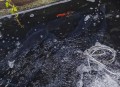 广东街头惊现走地鱼,海昌鱼是哪里产的？
