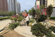 商场外给枯树绑绿叶,2021年银川12月份树木还有绿叶嘛？