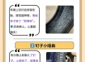 3车12胎被扎胎钉,1件衣服要钉4颗钮扣12颗钮扣可以钉几件衣服没有学乘除法该怎样做？