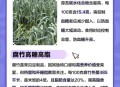 这些行为会加速升糖,迅速升糖的食物