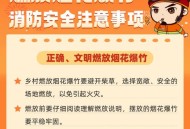 表演烟花不慎引燃,烟花怎么引燃？