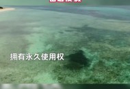 姑娘买下70万平小岛,
