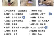 狗狗靠捡瓶存款过万,今天捡了只小狗，这种小狗吃什么东西？怎么养？
