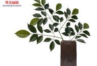商场外给枯树绑绿叶,商场外给枯树绑绿叶的叫什么