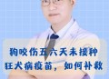 被蛇咬两年仍后遗症,人被狗咬后会产生哪些危害？打了狂犬病疫苗对人体有那些副作用？