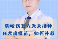 被蛇咬两年仍后遗症,人被狗咬后会产生哪些危害？打了狂犬病疫苗对人体有那些副作用？