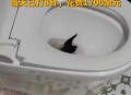 徒手抓蝙蝠被咬伤,蝙蝠能不能咬破塑料袋？