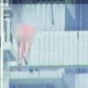 21岁女子从30楼坠亡,一张正方形纸，长30厘米，宽21厘米，从这张纸上剪下一个最大的正方形，求这个正方形的面积和周长各是？