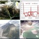 西藏口岸泥石流,青藏高原东部泥石流多的原因是什么？