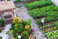 全家一起减肥瘦40斤,40平方的小院子种菜够一家吃嘛？