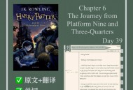 哈利波特与魔法石游戏攻略,哈利波特与魔法石游戏攻略视频