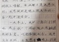 看演唱会让人更快乐,看演唱会让人更快乐作文