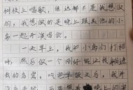 看演唱会让人更快乐,看演唱会让人更快乐作文