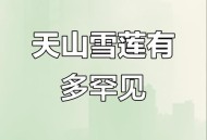 喜马拉雅现成片雪莲,孩子高三了学习很紧张，晚上觉不够睡，中午睡不着在饮食怎么做？