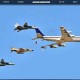 以色列关闭领空,以色列F35战机闯入领空，黎巴嫩为何不击落？