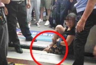 地铁乘客腿卡缝隙,脚卡在地铁缝隙里怎么处理？
