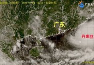 珠海停课停工停产,珠海停课预警有哪几种？