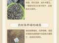 投放5200尾灭蚊鱼,池塘灭蚊子幼虫最有效的方法？