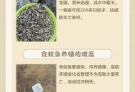 投放5200尾灭蚊鱼,池塘灭蚊子幼虫最有效的方法？