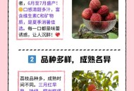 拍800斤贵妃同款荔枝,贵妃荔枝典故的寓意是什么？