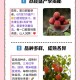 拍800斤贵妃同款荔枝,贵妃荔枝典故的寓意是什么？