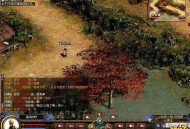 scp游戏攻略,scp游戏解说鲤鱼