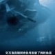 俄海军副司令阵亡,近期俄罗斯潜艇事故造成10多位海军军官牺牲，这个是不是说明俄海军军力下降，管理混乱？