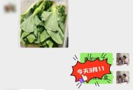 卖烤青菜被要求整改,能经常在微波炉里烤青菜？
