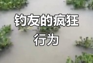 保护区里的疯狂垂钓,保护区里的疯狂垂钓是什么